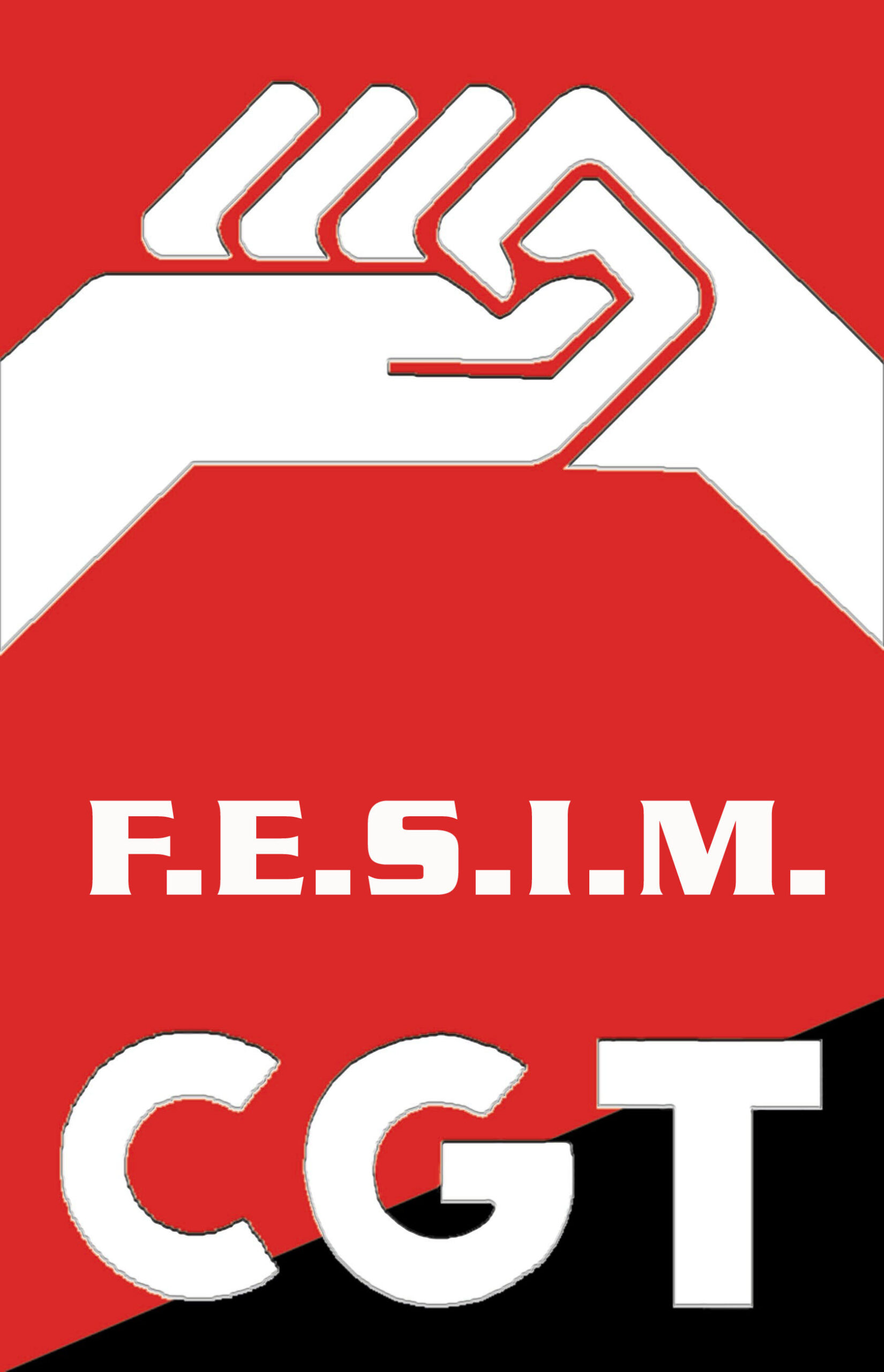 CGT FESIM.jpg