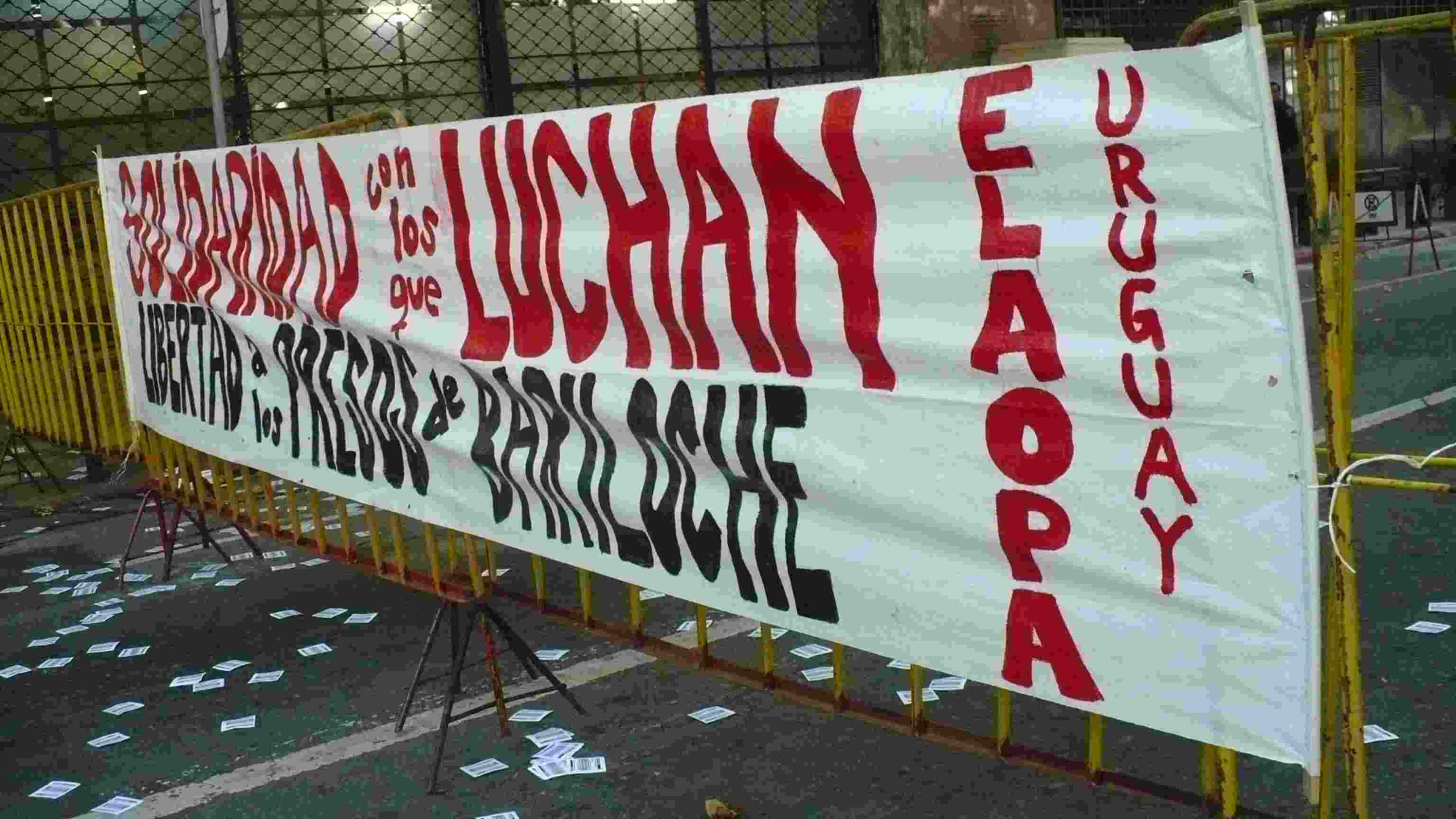 ELAOPA.JPG
