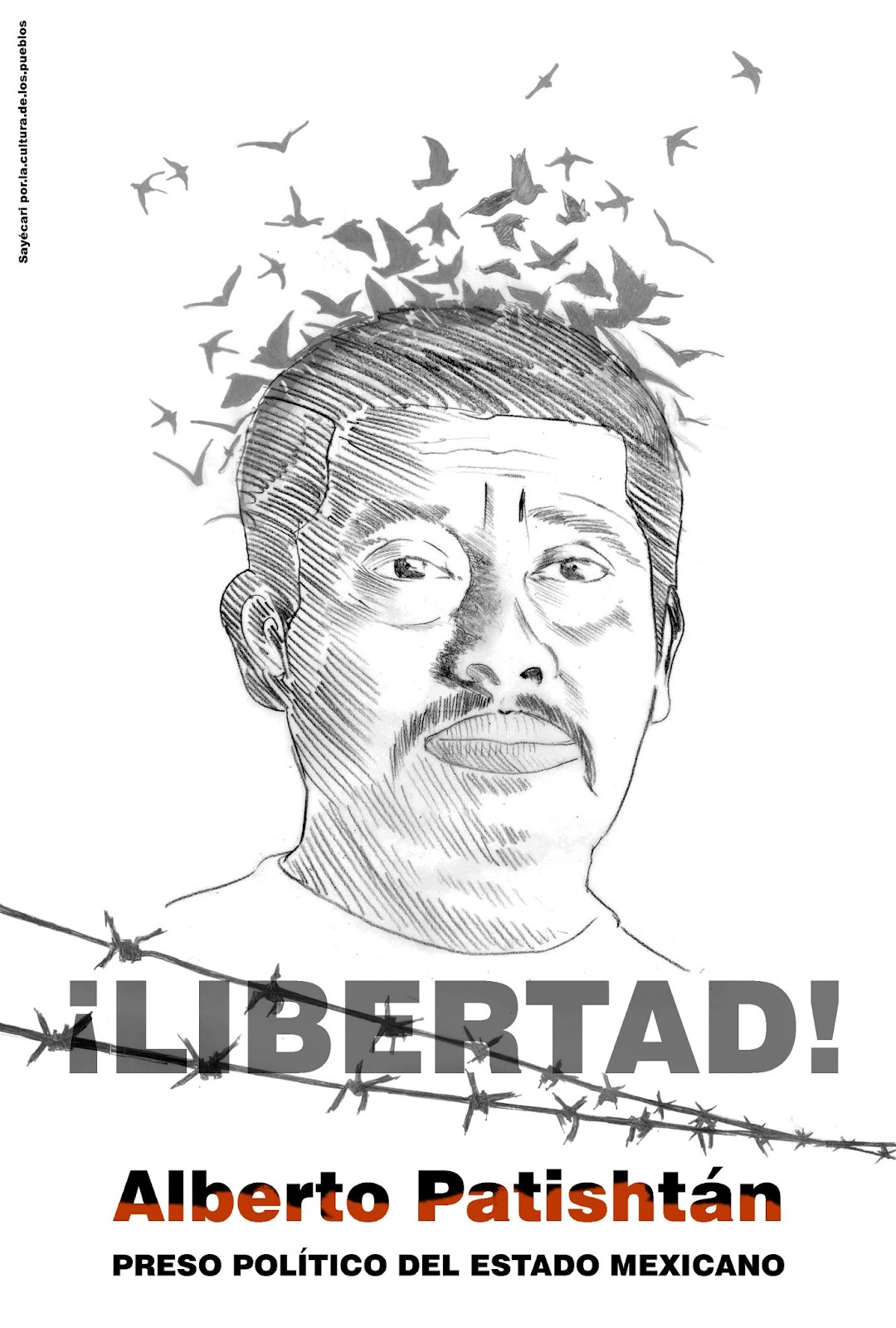 Cartel Alberto Patishtan 2013.jpg