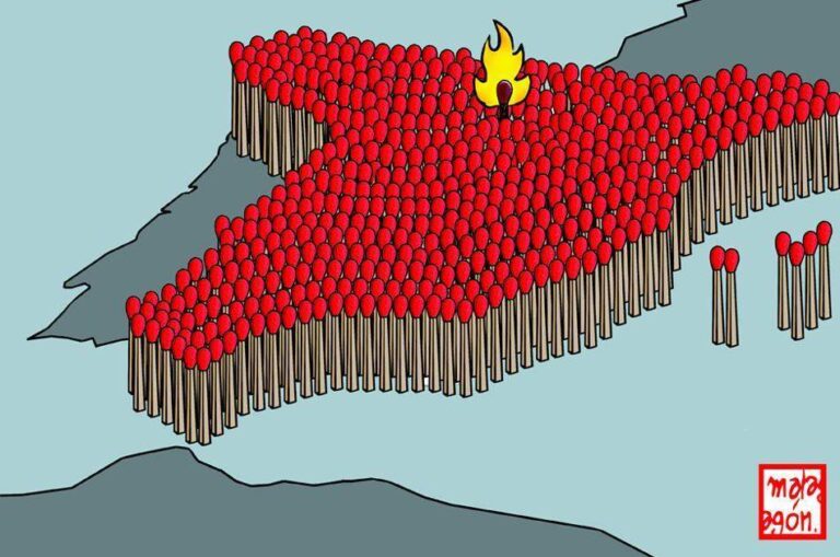 gamonal.jpg