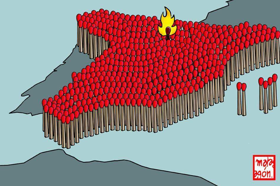 gamonal.jpg