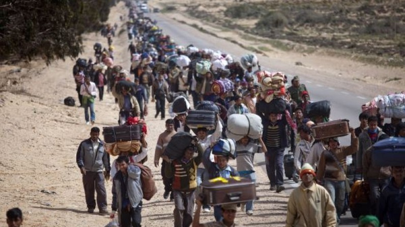 refugiados-796x448.jpg