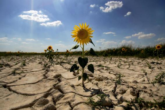 desertificacion_8fa97fb9_1500x1000_0.jpg