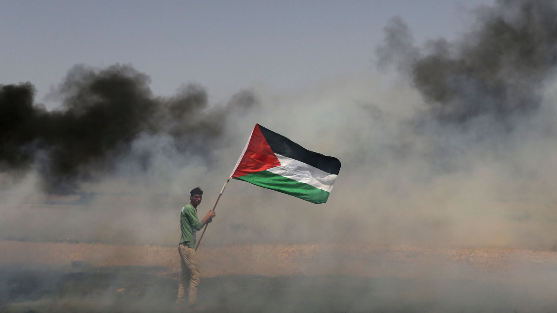 Imagen de ¡Estamos con las palestinas y palestinos!