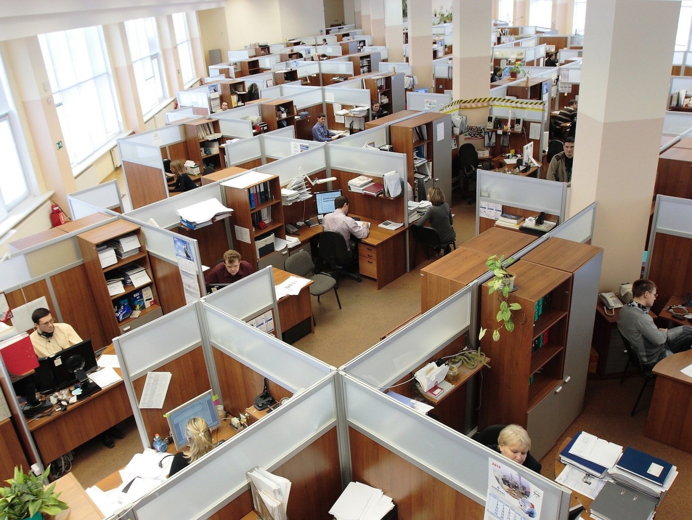 Imagen de La incompetencia en la gestión y extinción del Servicio Publico en la AGE
