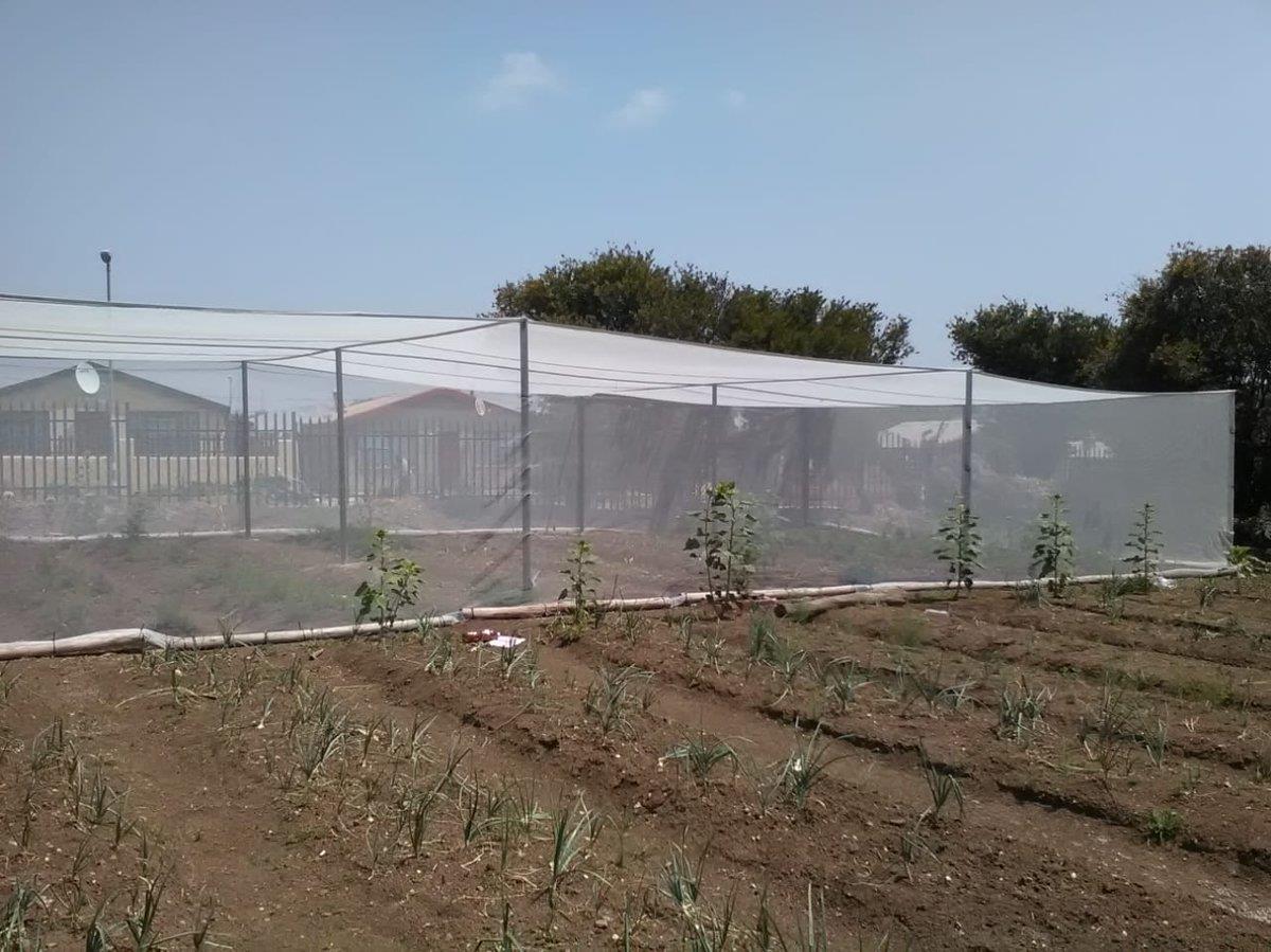 Imagen de Solidaridad con las trabajadoras en lucha en Frutas Raquel – Marruecos