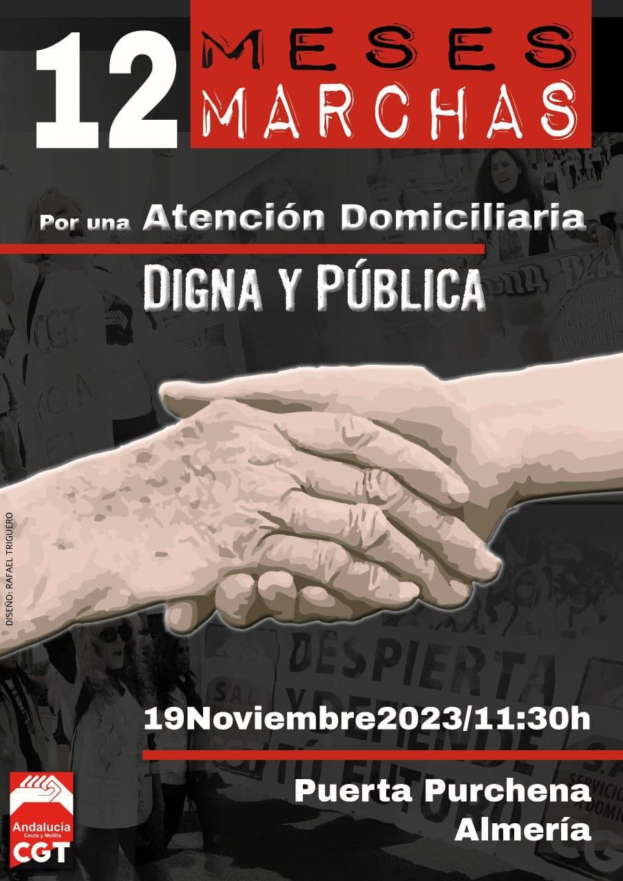 Imagen de 12 meses, 12 Marchas. Por una atención domiciliaria digna y pública