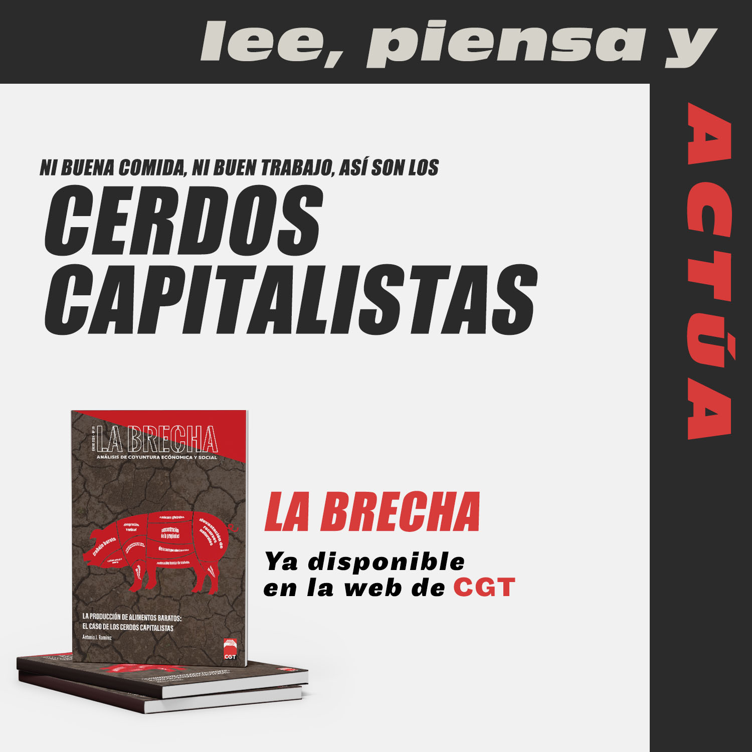 Imagen de La Brecha N.19: “La producción de alimentos baratos: el caso de los cerdos capitalistas”