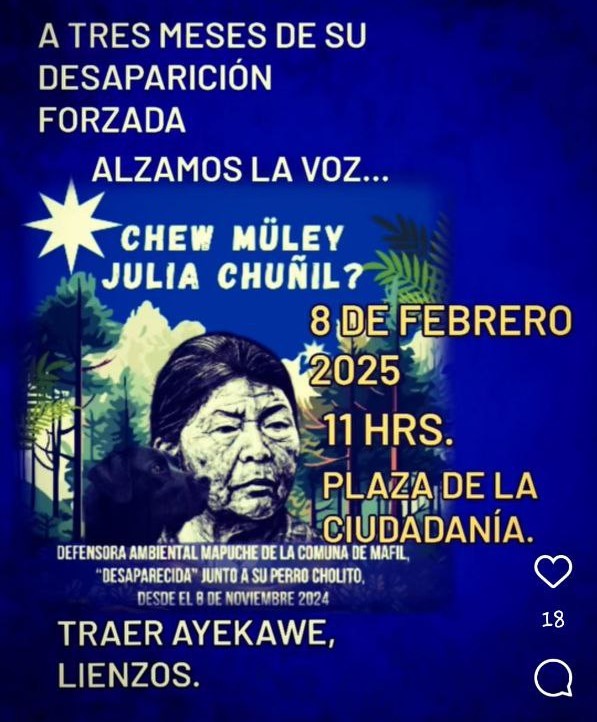 Imagen de CGT continúa denunciando los ataques de multinacionales y gobernantes hacia el pueblo mapuche.