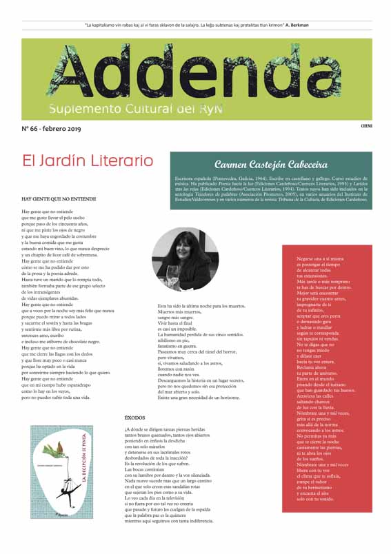 Imagen de Addenda, suplemento cultural del RyN – Nº 66, febrero 2019