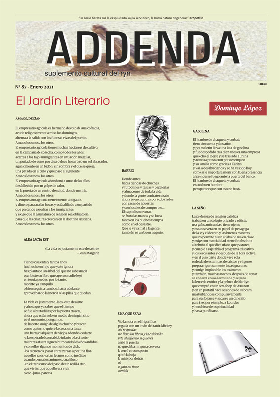 Imagen de Addenda, suplemento cultural del RyN – Nº 87, enero 2021