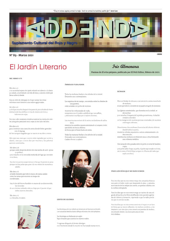Imagen de Addenda, suplemento cultural del RyN – Nº 89, marzo 2021