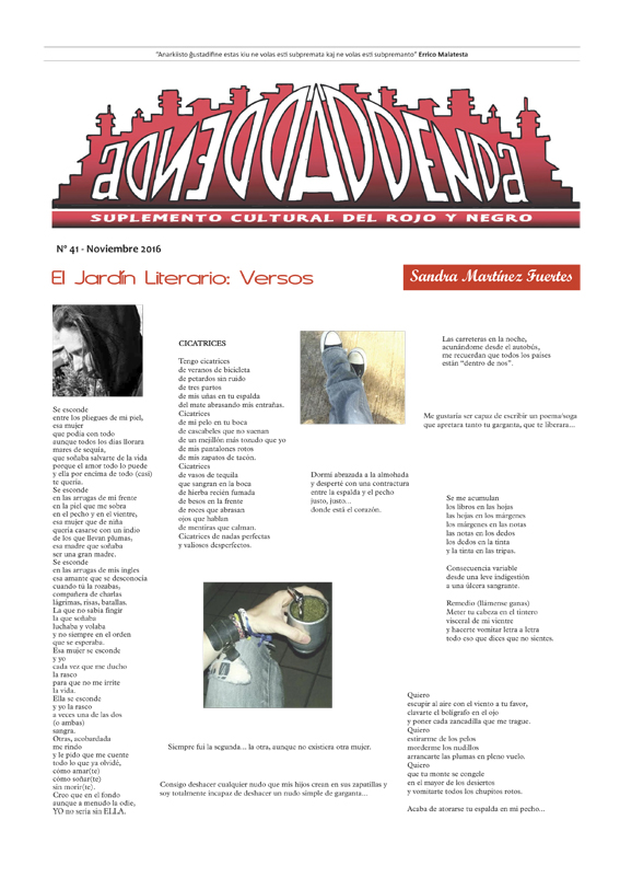 Imagen de Addenda, suplemento cultural del RyN – Nº 41, noviembre 2016