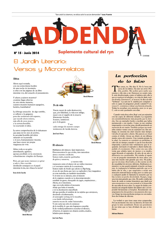 Imagen de Addenda, suplemento cultural del RyN – Nº 15, junio 2014