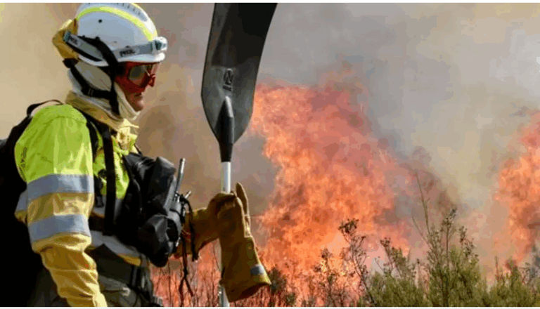 Incendios forestales: Terrorismo de Estado y falta de gestión: Comunicado de la Coordinadora Estatal de Bomberxs Forestales de la CGT
