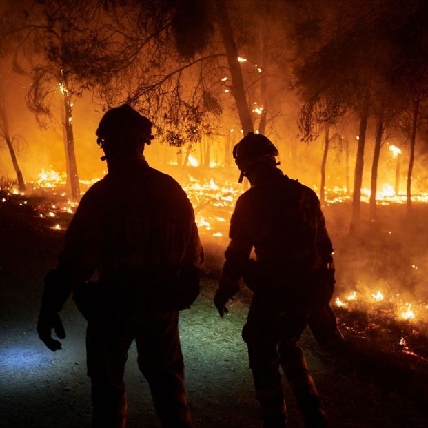 Imagen de CGT denuncia la incompetencia de la Junta de Castilla y León en la gestión de los incendios forestales