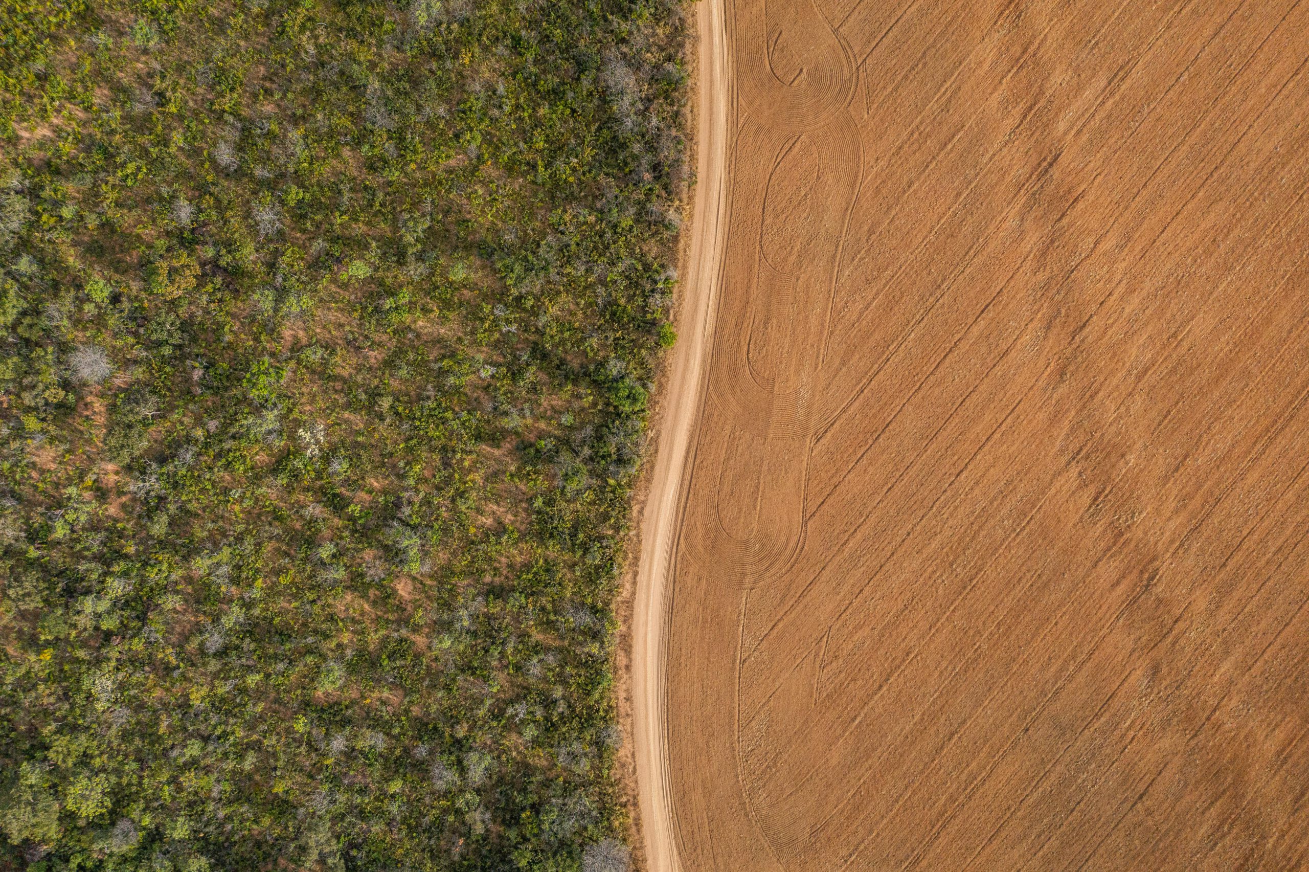 BRAZIL: AUGUST 2020: A soy plantation in the state of Tocantins during an expedition by the Rainforest Foundation to monitor the relationship between soy production in Brazil and its relationship with the deforestation of the Cerrado and Amazonia biomes. CREDIT: Victor Moriyama for Rainforest Foundation