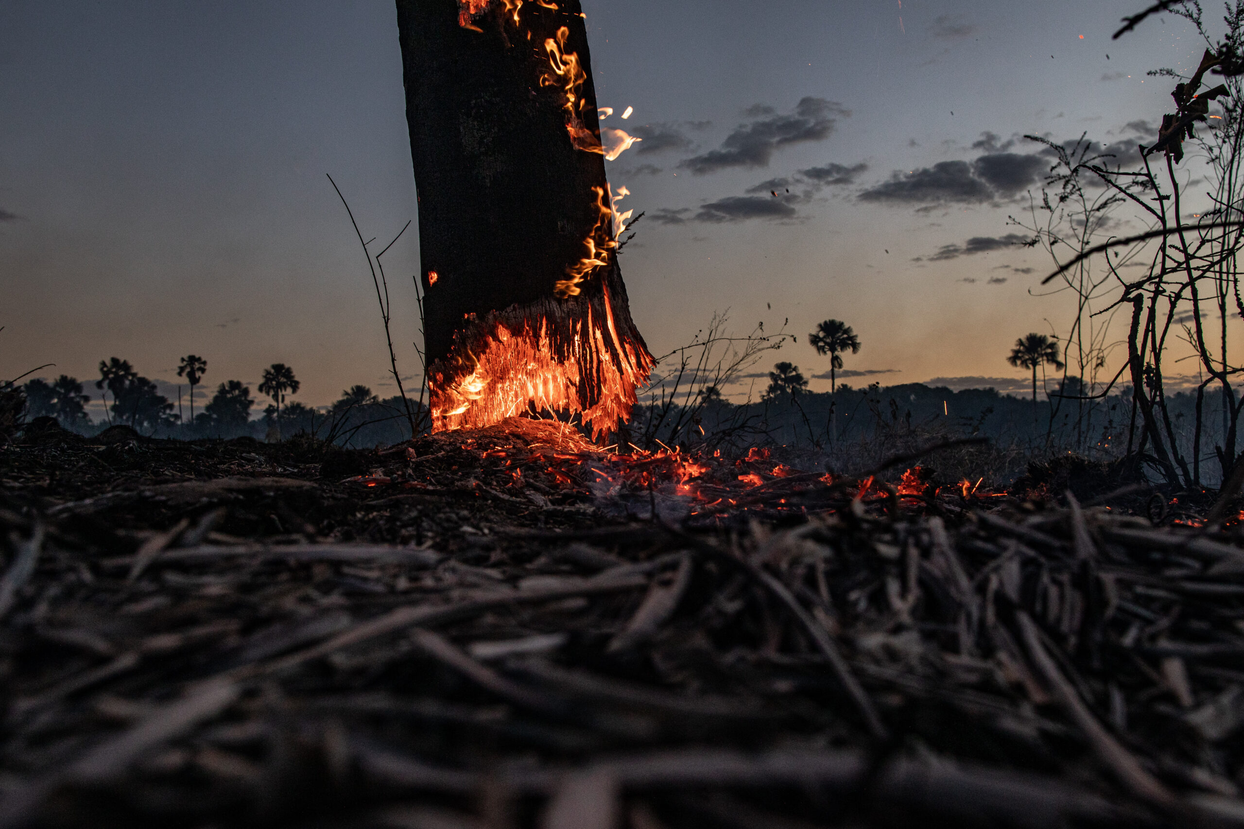 BRAZIL: AUGUST 2020: Fire in the Cerrado biome during an expedition by the Rainforest Foundation to monitor the relationship between soy production in Brazil and its relationship with the deforestation of the Cerrado and Amazonia biomes. CREDIT: Victor Moriyama for Rainforest Foundation