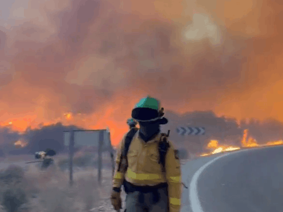 Imagen de Incendio en Los Gallardos: Una tragedia evitable.